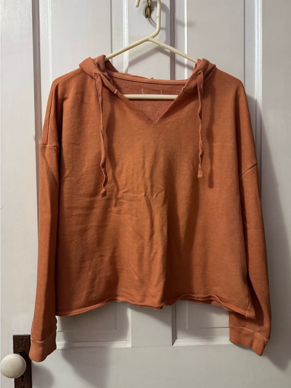Source Unknown Rust Orange V-Neck Hoodie Pullover